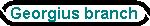 Georgius branch